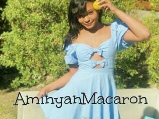 AminyanMacaron