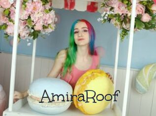 AmiraRoof