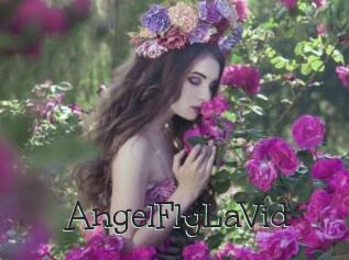 AngelFlyLaVid