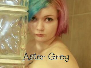 Aster_Grey