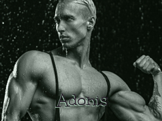 Adonis_