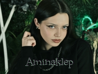 Aminaklep