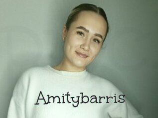 Amitybarris