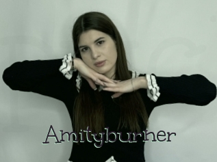 Amityburner