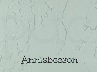 Annisbeeson