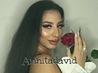 Annitadavid