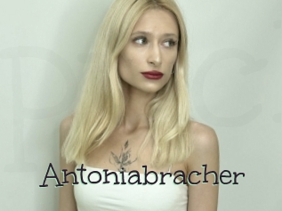 Antoniabracher