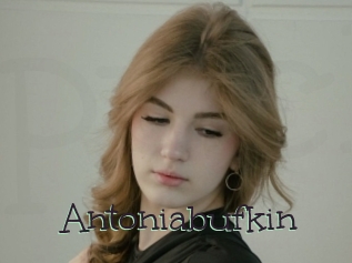 Antoniabufkin