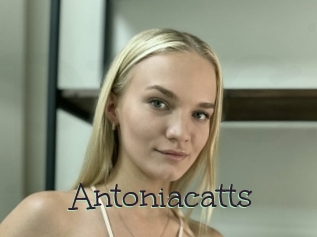 Antoniacatts