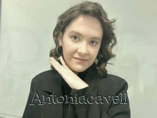 Antoniacavell