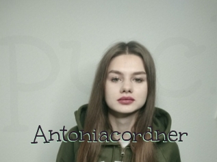 Antoniacordner