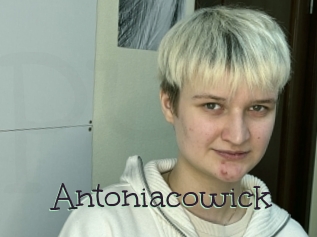 Antoniacowick