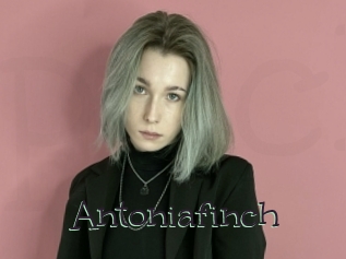 Antoniafinch