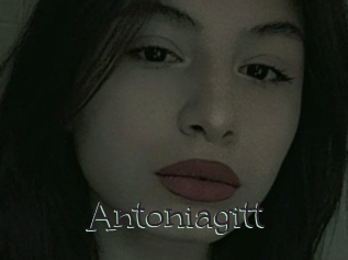 Antoniagitt