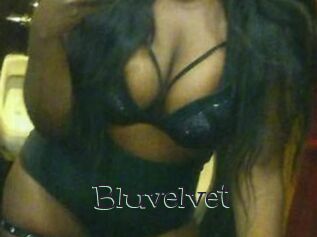 Bluvelvet