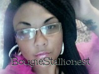 BougieStallionest