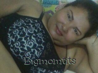 Bigmomtits