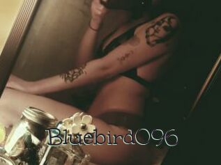 Bluebird096