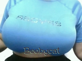 Boobycat