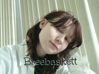 Breebaskett