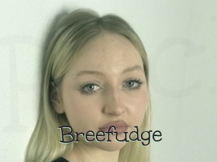 Breefudge