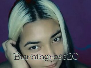 Burningrose20