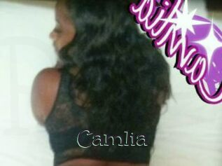 Camlia Pucelles
