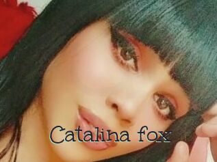 Catalina_fox
