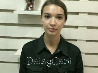 DaisyCani