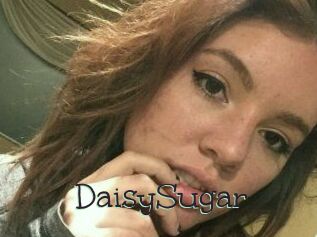 Daisy_Sugar