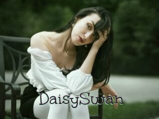 DaisySwan