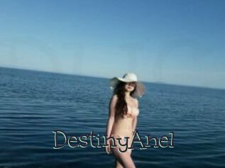 DestinyAnel