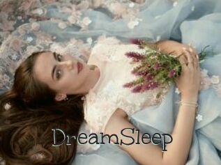 DreamSleep
