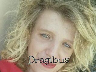 Dragibus