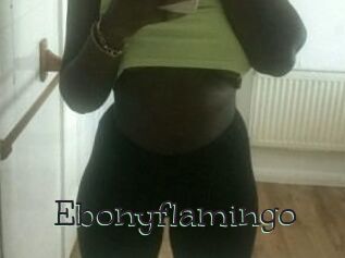 Ebony_flamingo