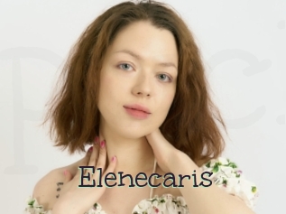 Elenecaris