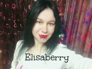 Elisaberry