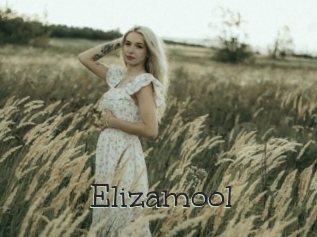 Elizamool