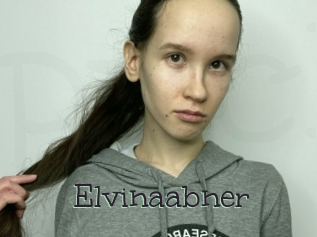 Elvinaabner