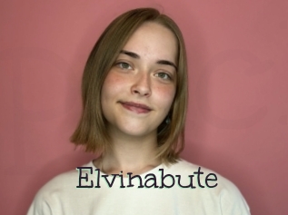 Elvinabute