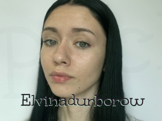 Elvinadurborow