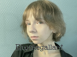 Elwinegallant