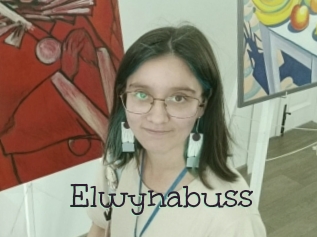 Elwynabuss