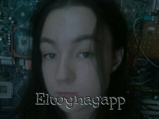 Elwynagapp