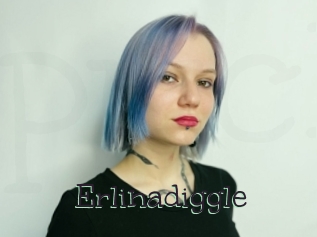 Erlinadiggle