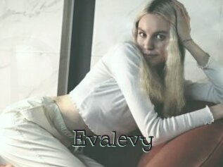 Evalevy