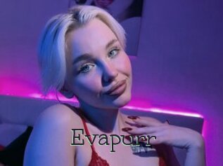 Evapurr