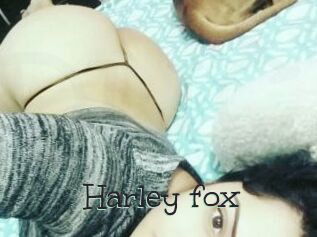 Harley_fox