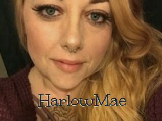 Harlow_Mae