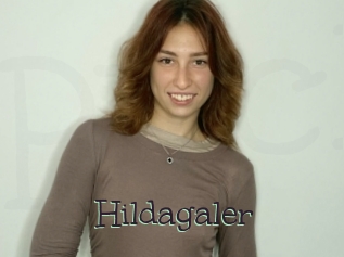 hildagaler Pucelles